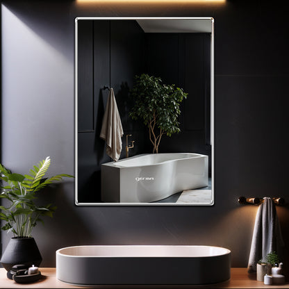 Wall Mounted Mirror - Rectangle Shape