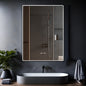 Wall Mounted Mirror - Rectangle Shape