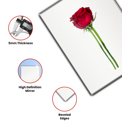 Wall Mounted Mirror - Rectangle Shape
