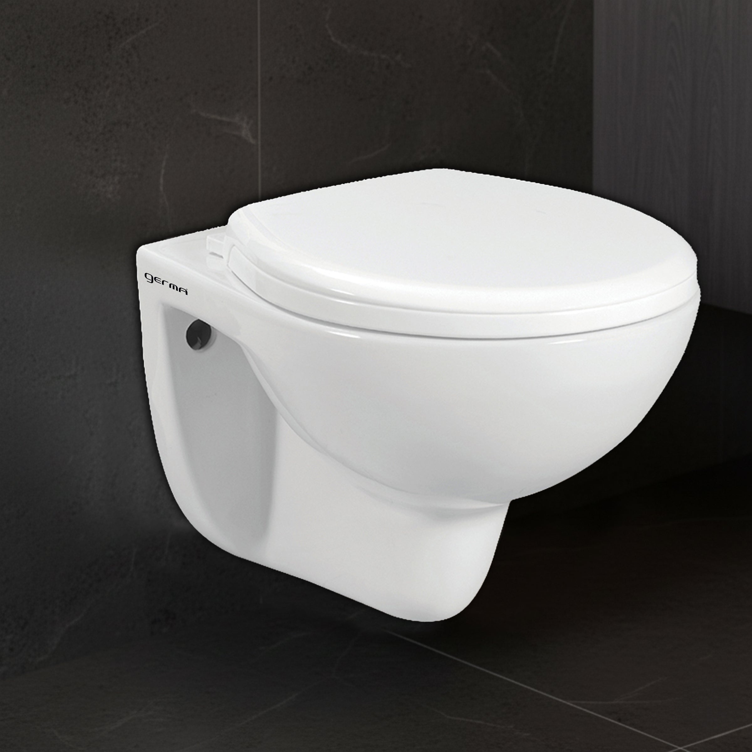 Wall Mounted Ceramic One Piece Closet - Arina