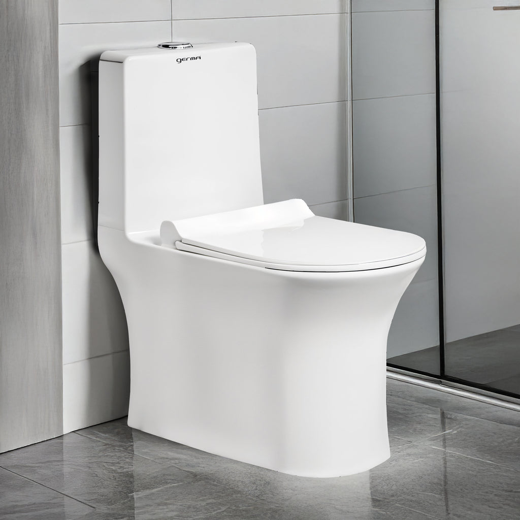 Floor Mounted Ceramic One Piece Closet - Gaint