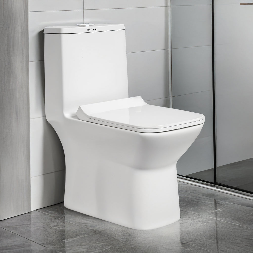 Floor Mounted Ceramic One Piece Closet - Gapes