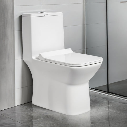 Floor Mounted Ceramic One Piece Closet - Gapes