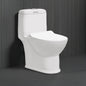Floor Mounted Ceramic One Piece Closet - Genus
