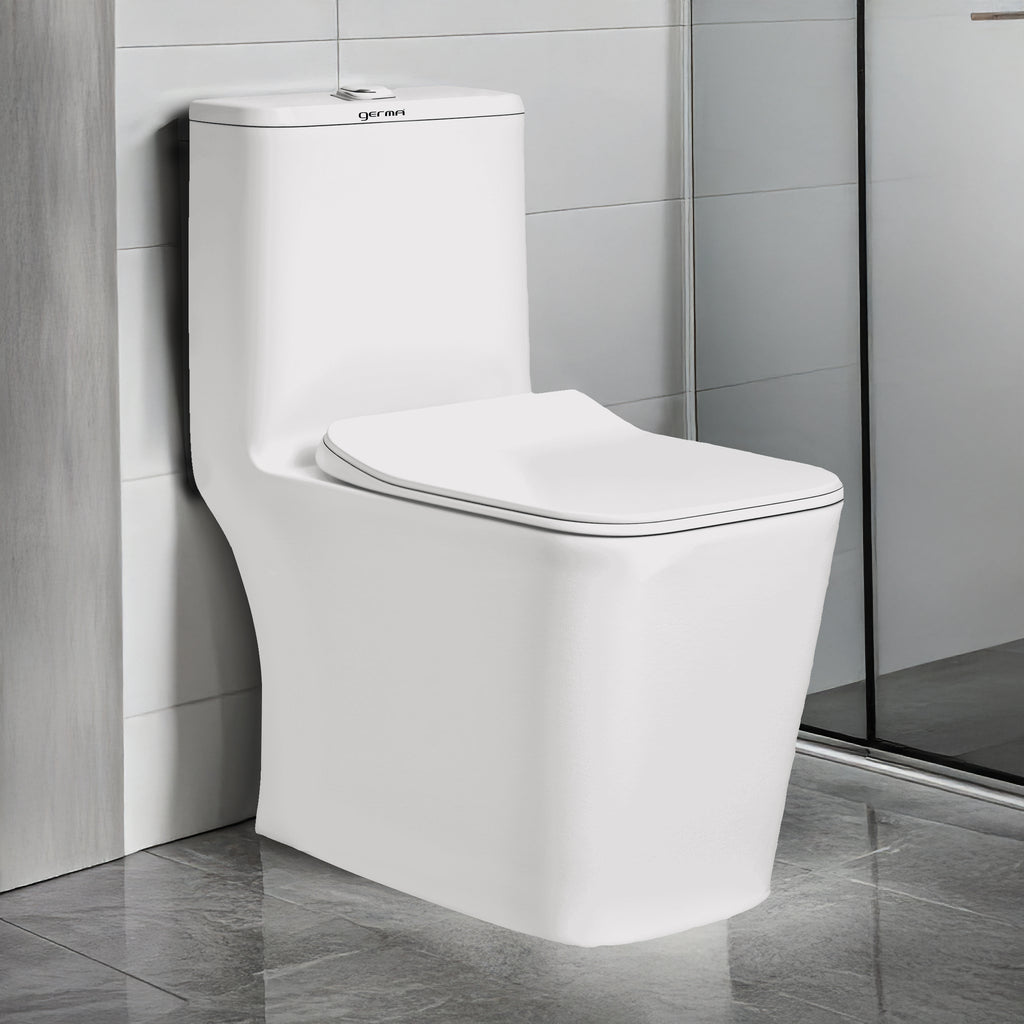 Floor Mounted Ceramic One Piece Closet - Gibbs