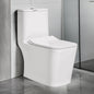 Floor Mounted Ceramic One Piece Closet - Gibbs