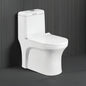 Floor Mounted Ceramic One Piece Closet - Icon