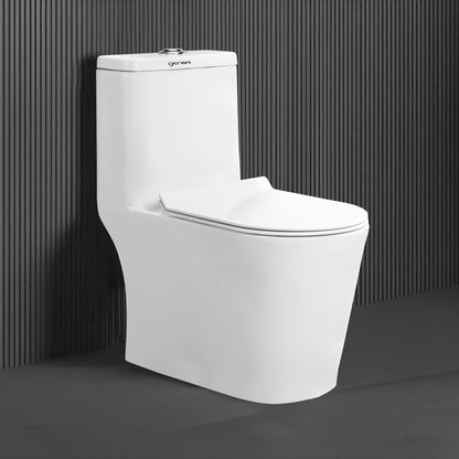 Floor Mounted Ceramic One Piece Closet - Singha