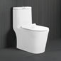 Floor Mounted Ceramic One Piece Closet - Singha