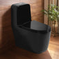 Floor Mounted Ceramic One Piece Closet - Lego Black