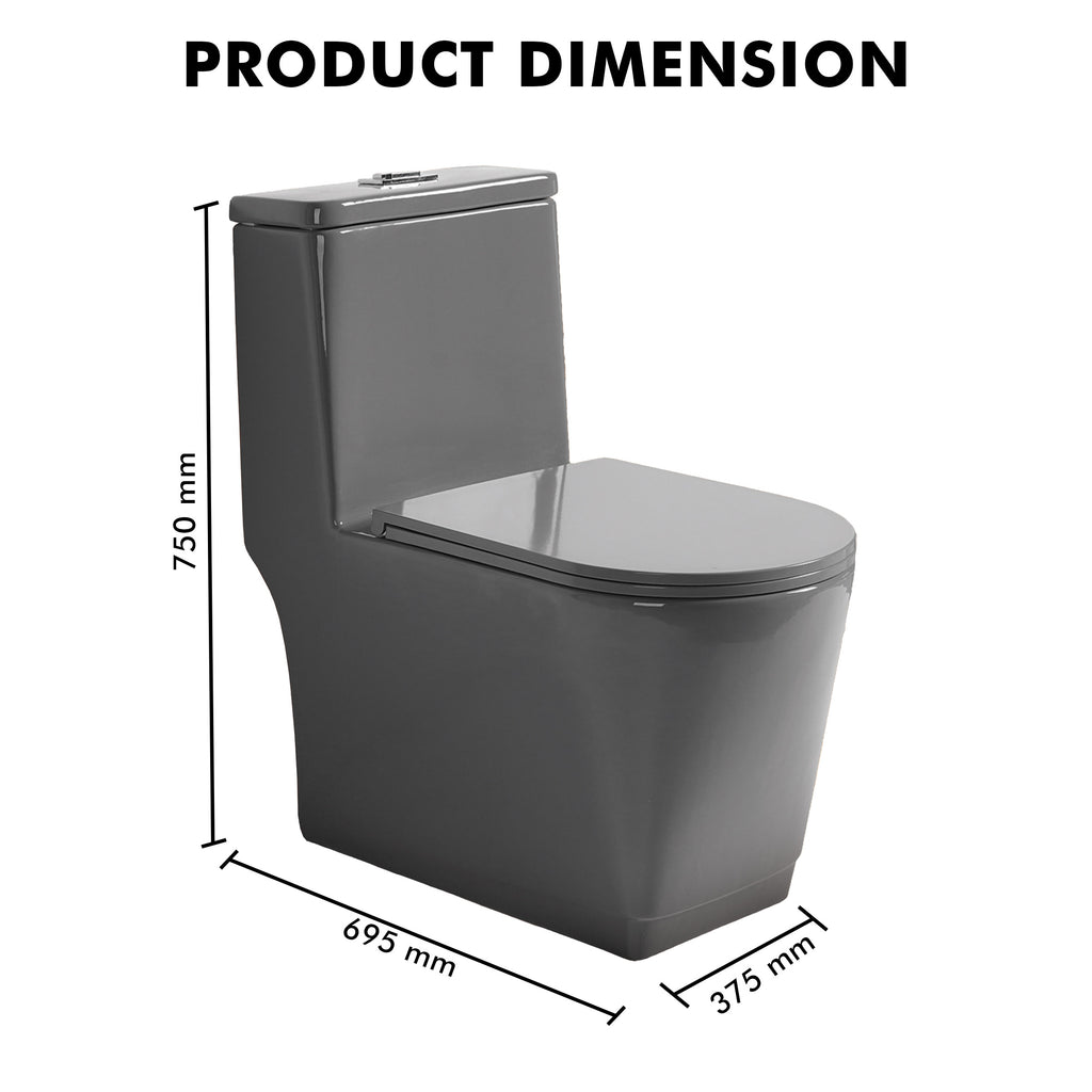 Floor Mounted Ceramic One Piece Closet - Sevol Grey