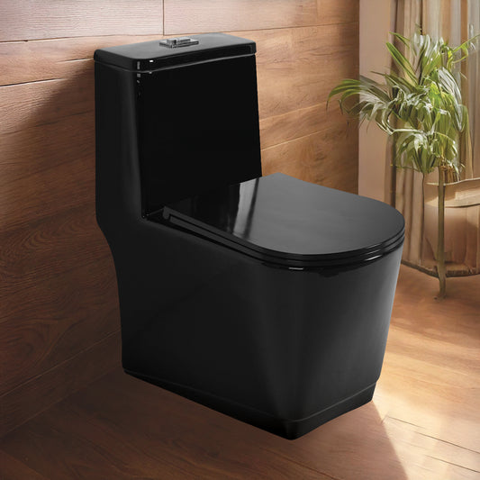 Floor Mounted Ceramic One Piece Closet - Sevol Black