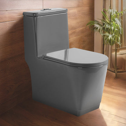 Floor Mounted Ceramic One Piece Closet - Sevol Grey