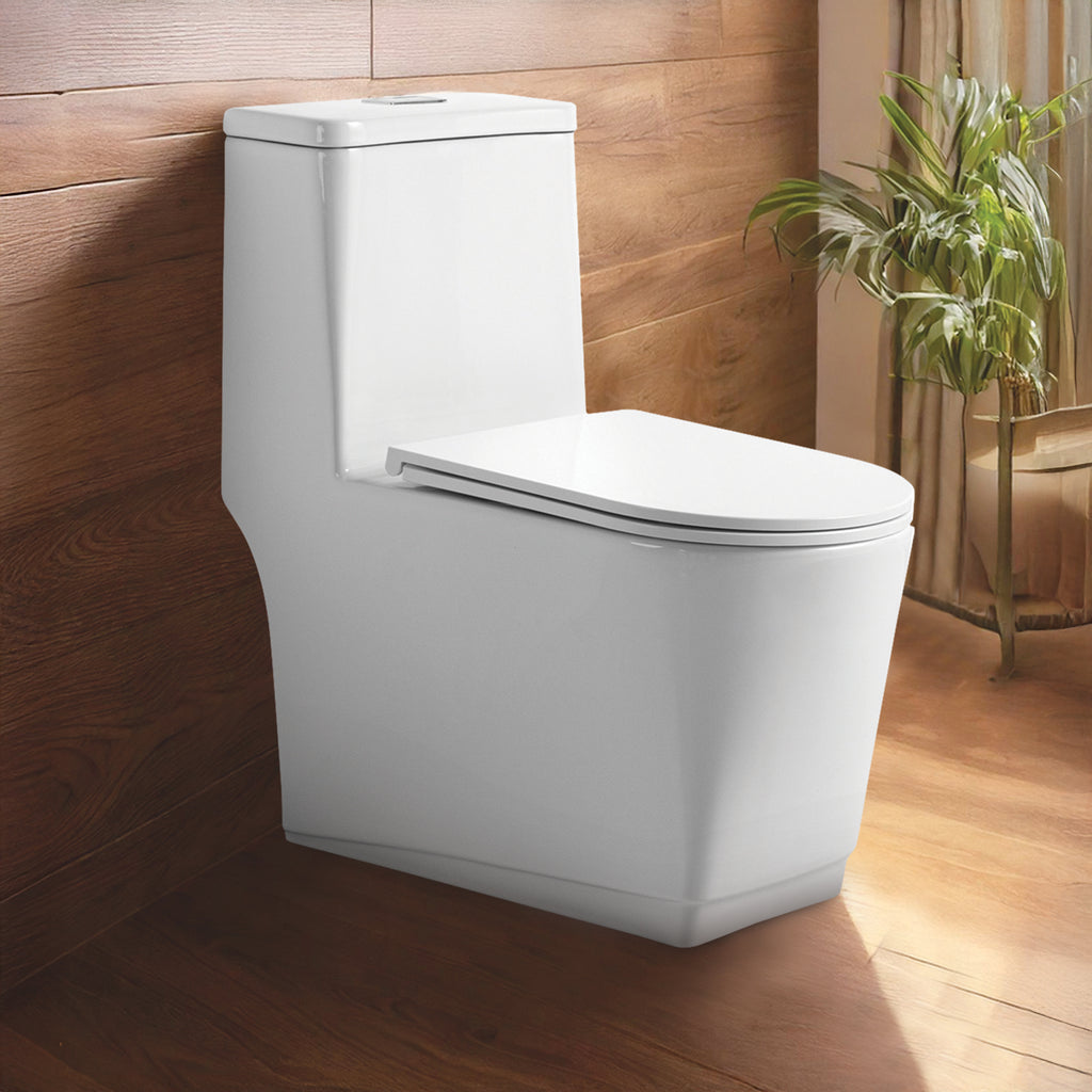 Floor Mounted Ceramic One Piece Closet - Sevol White