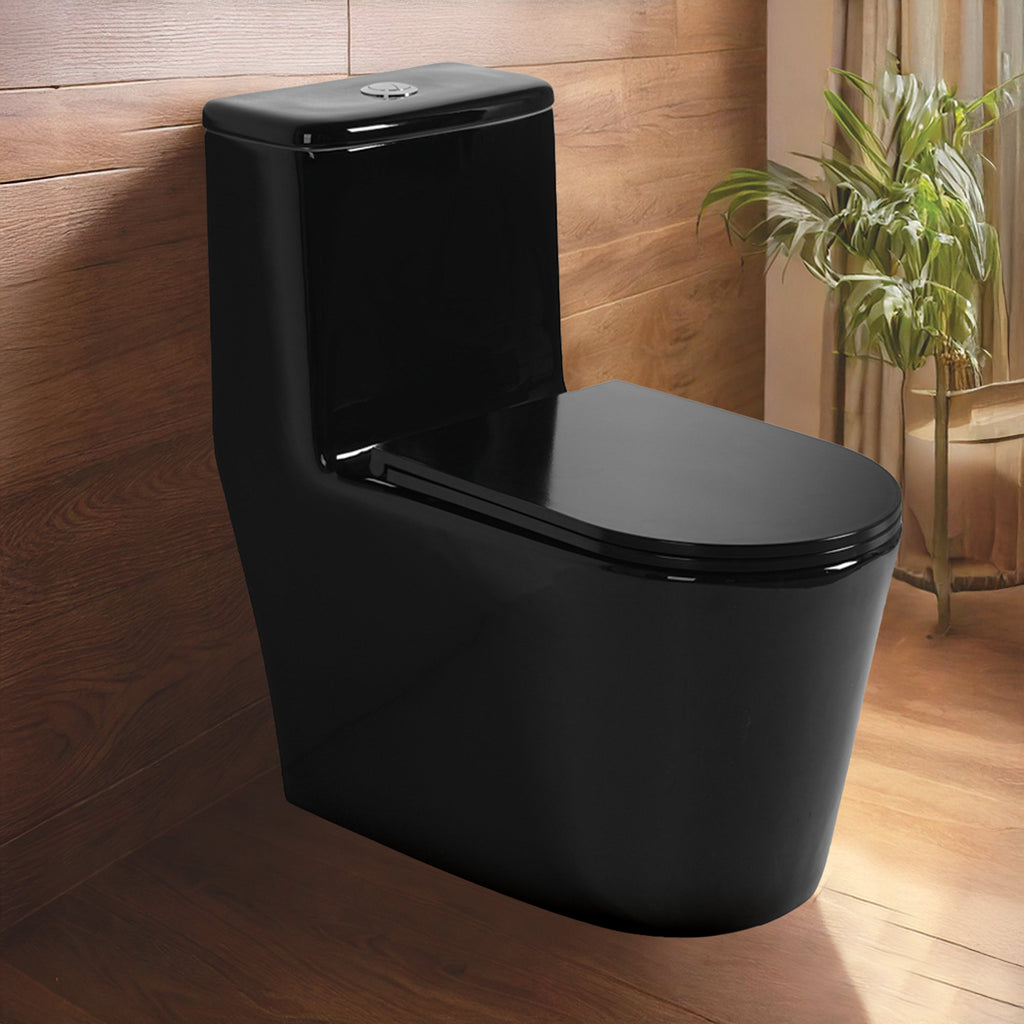 Floor Mounted Ceramic One Piece Closet -Yera Black