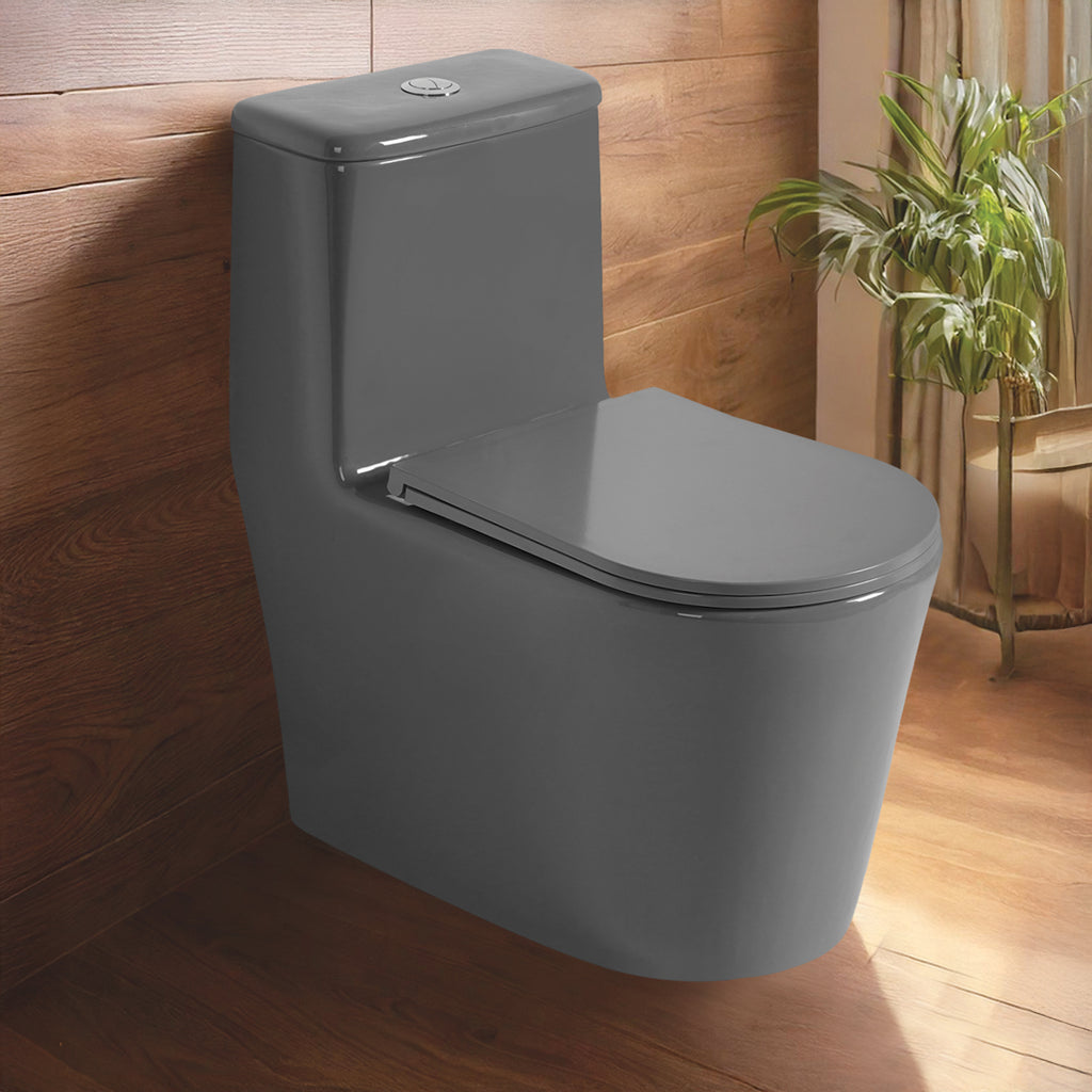 Floor Mounted Ceramic One Piece Closet - Yera Grey