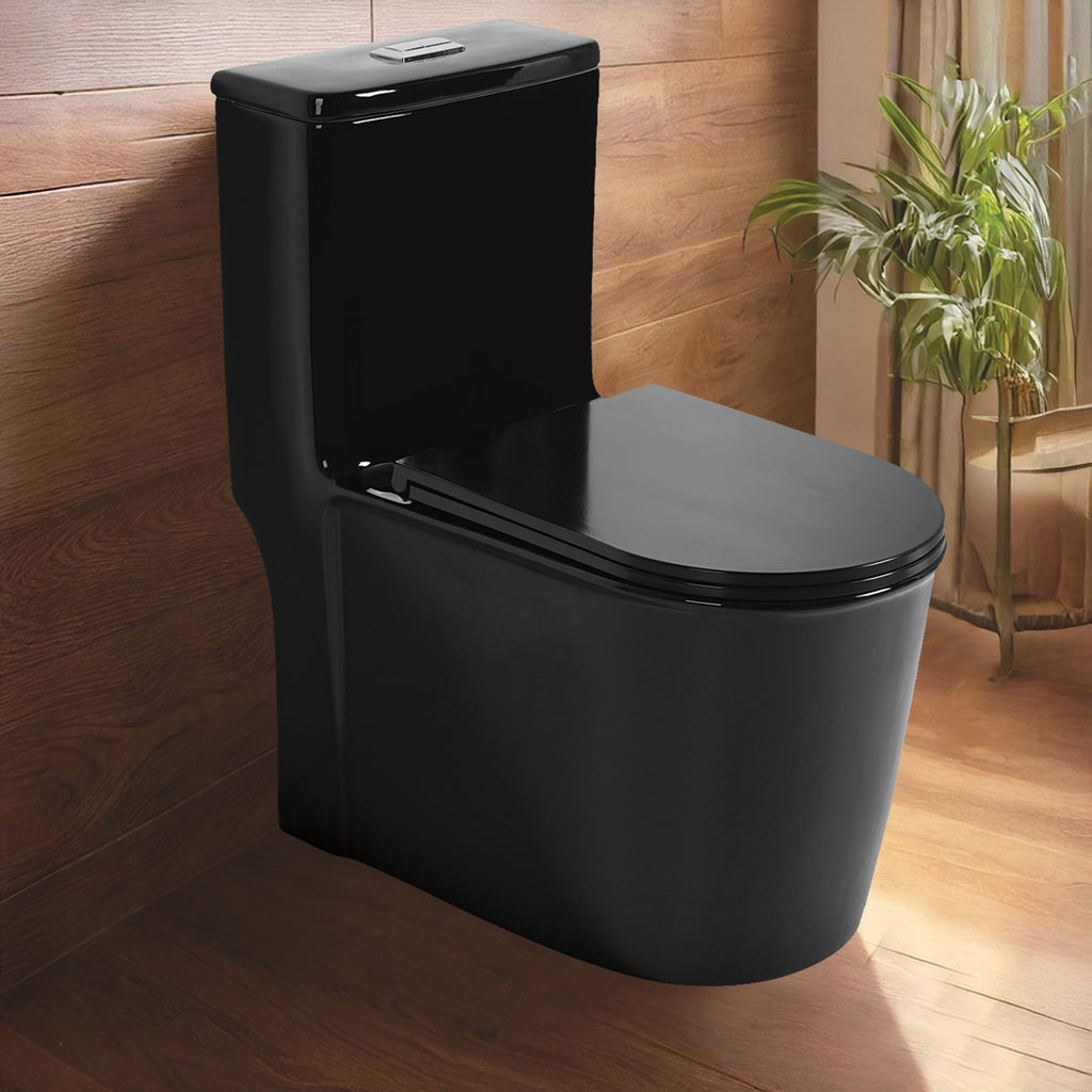 Floor Mounted Ceramic One Piece Closet - Tuna Black