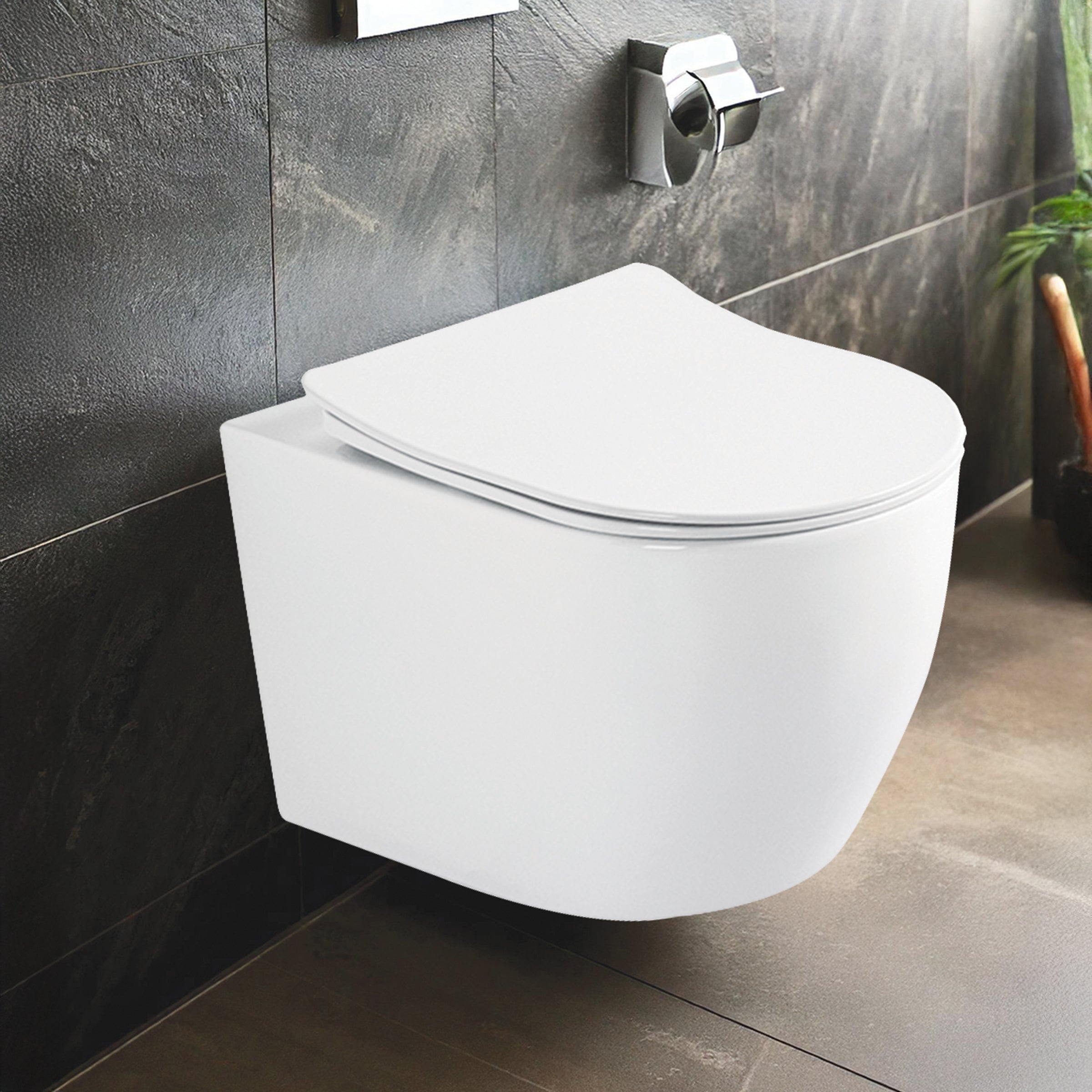 Wall Mounted Ceramic One Piece Closet - Dias