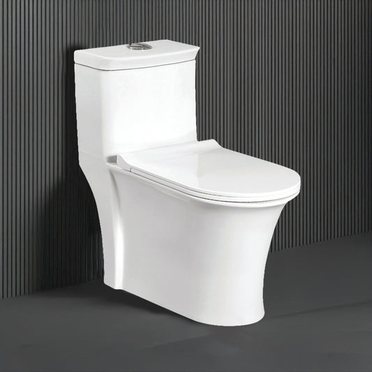 Floor Mounted Ceramic One Piece Closet - Trivia